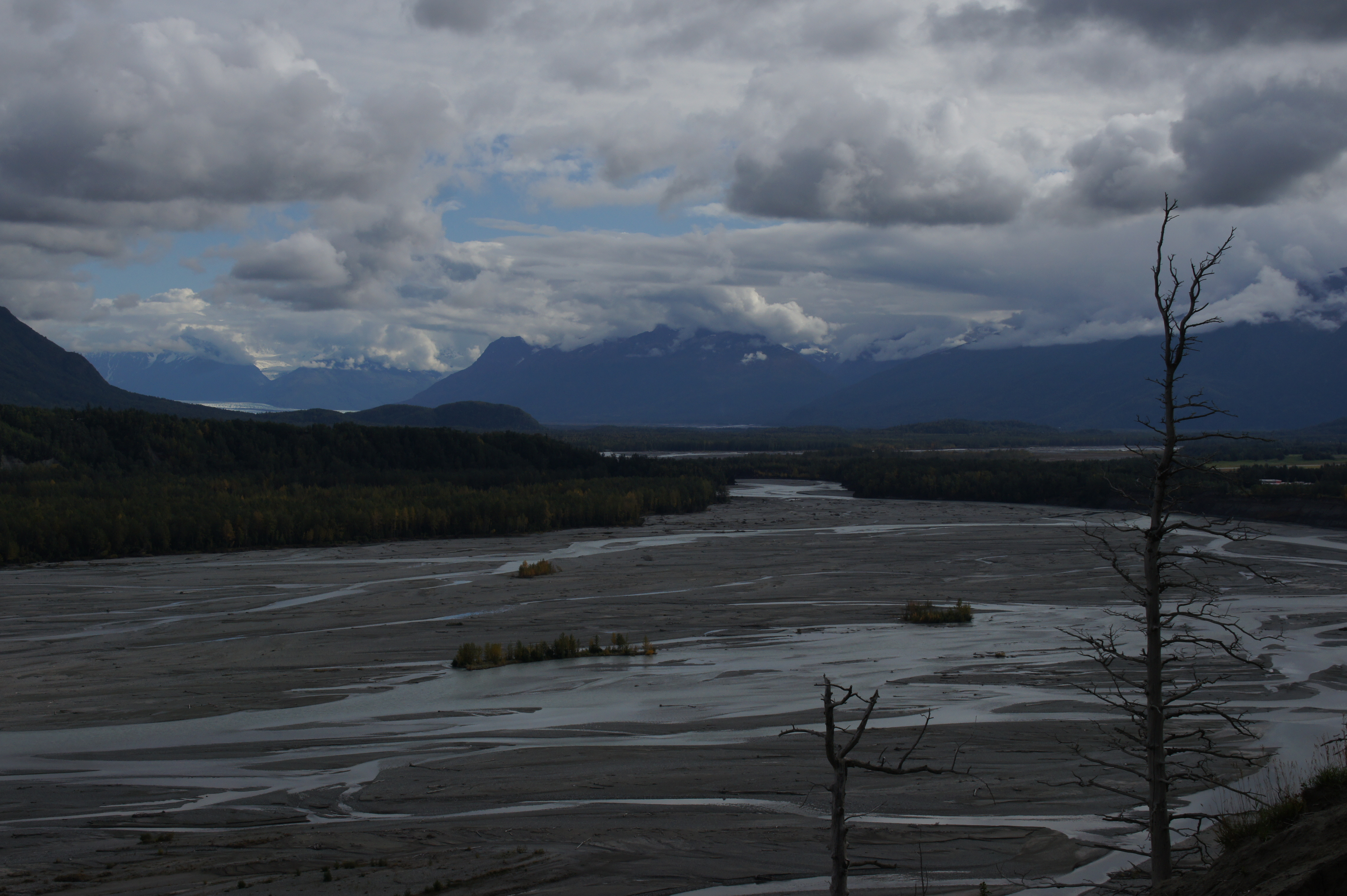 Click to return to the thumbnail index